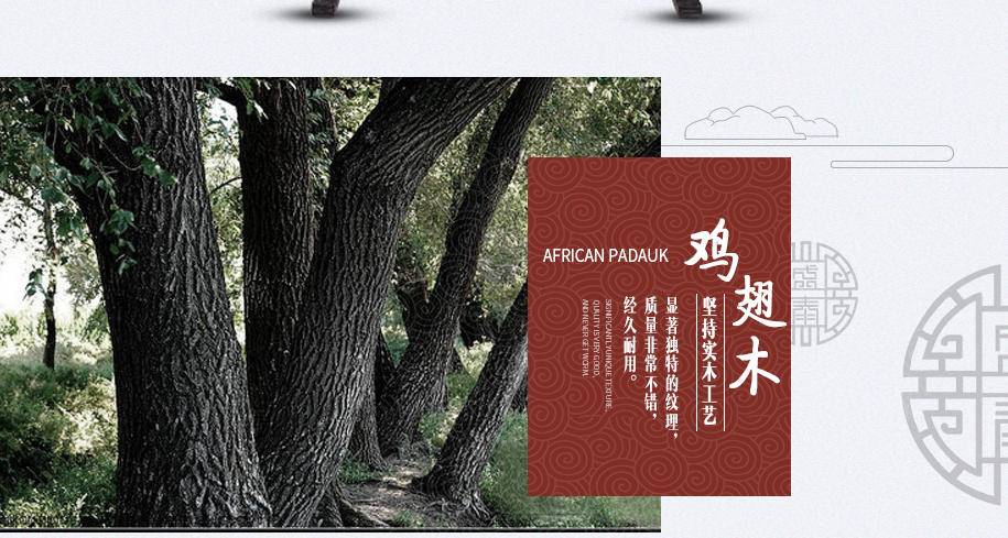 富贵牡丹图915_03 富贵牡丹图915_03