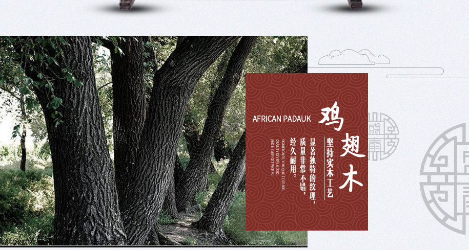 花开富贵图915_03 花开富贵图915_03